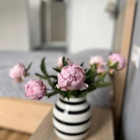 Apartament Na Jezycach 포즈난